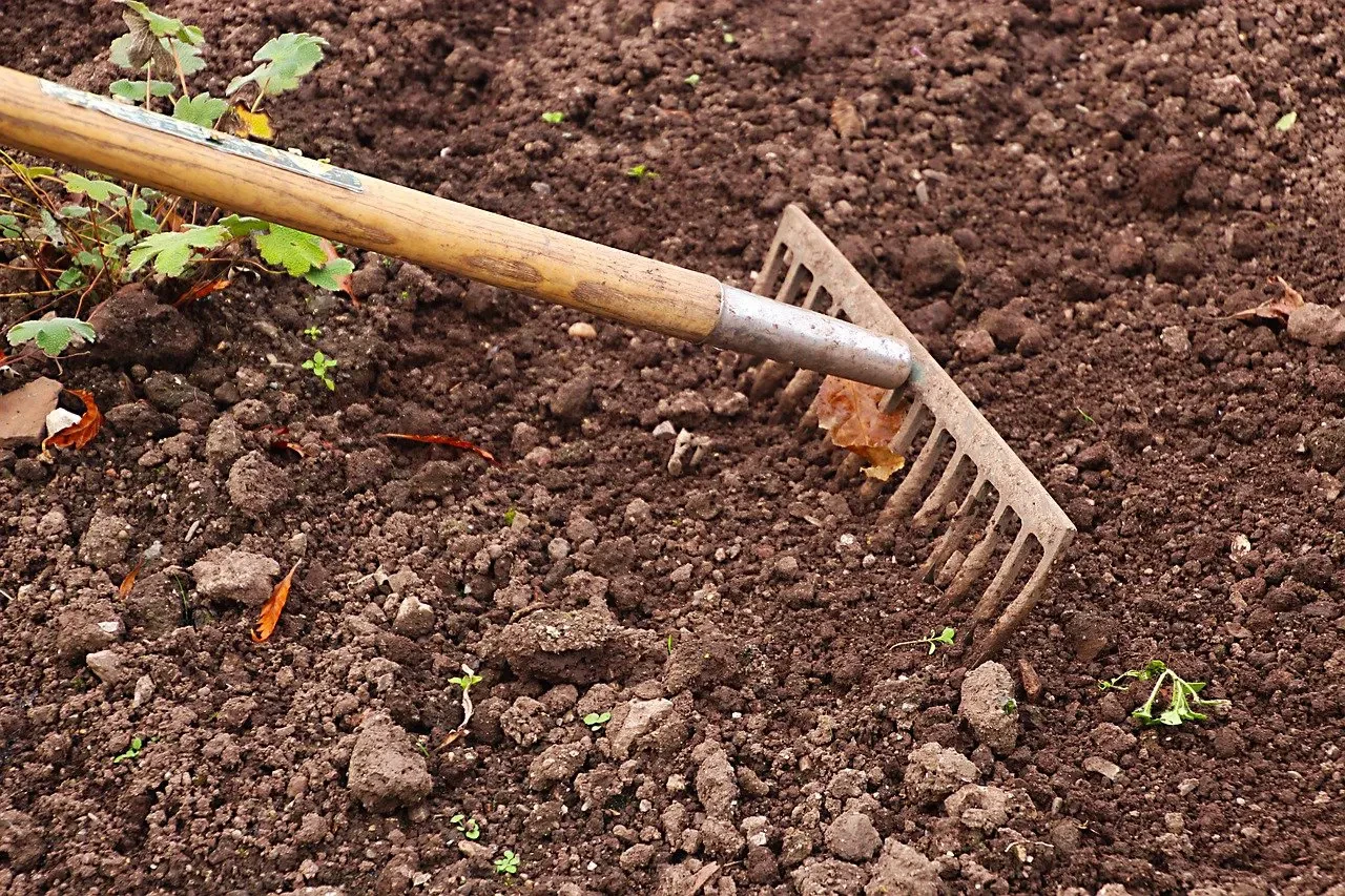 BOLTIERE (BERGAMO) TERRENO AGRICOLO IN VENDITA